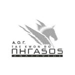 PIGASOS TAEKWONDO-01